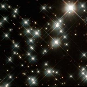 Meet your Posher, Lydia